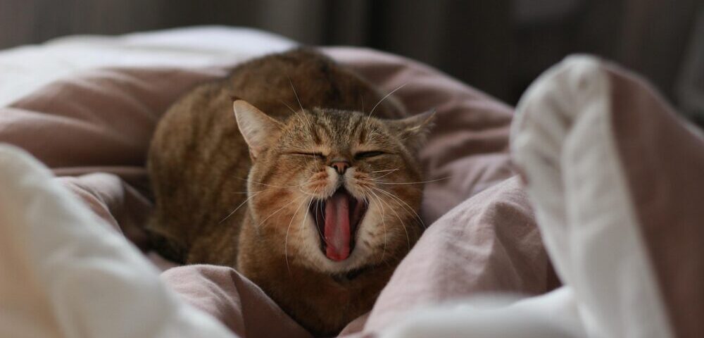 How can I design a website that is GDPR compliant?