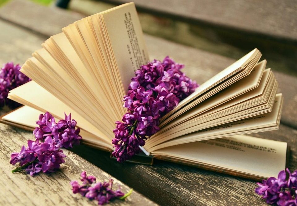 How to design a website for a portfolio in 2026?