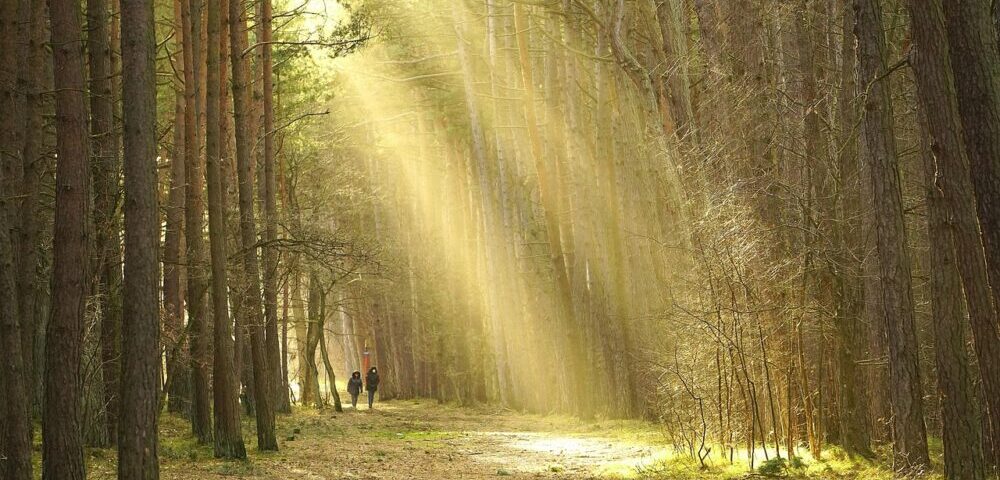 How to design a website for a single-page application in 2026?