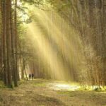 How to design a website for a single-page application in 2026?