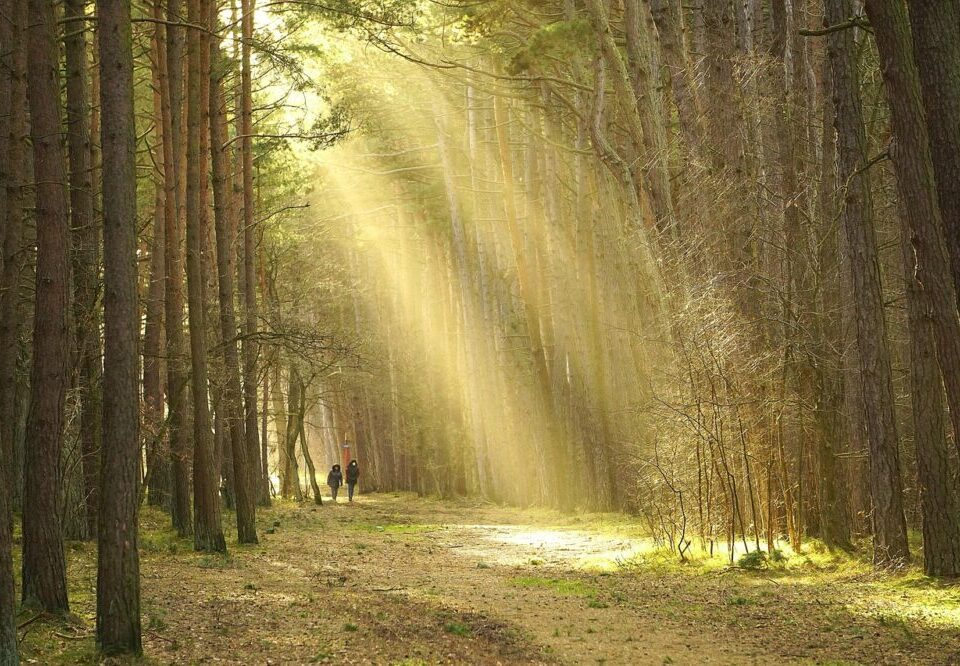 How to design a website for a single-page application in 2026?