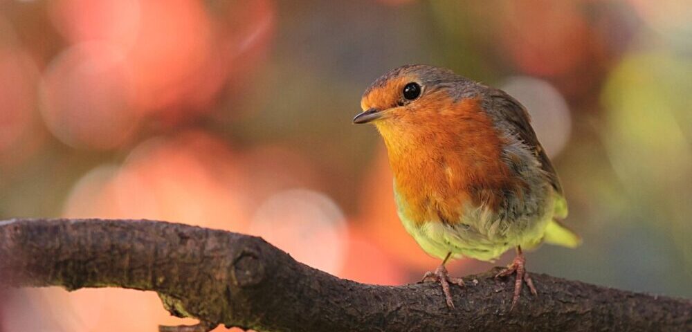 How to design a website with a focus on conversion in 2026?