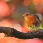 How to design a website with a focus on conversion in 2026?