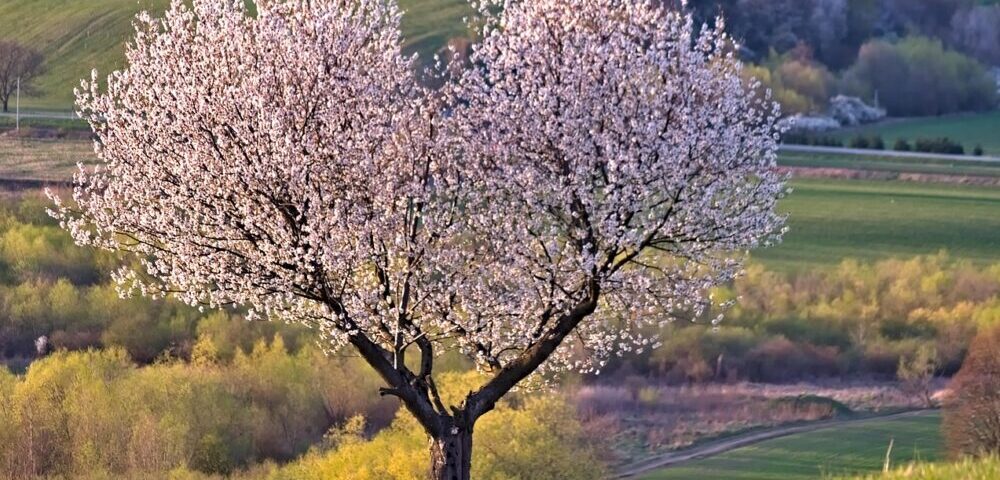 How to design a website with a focus on inclusivity in 2026?