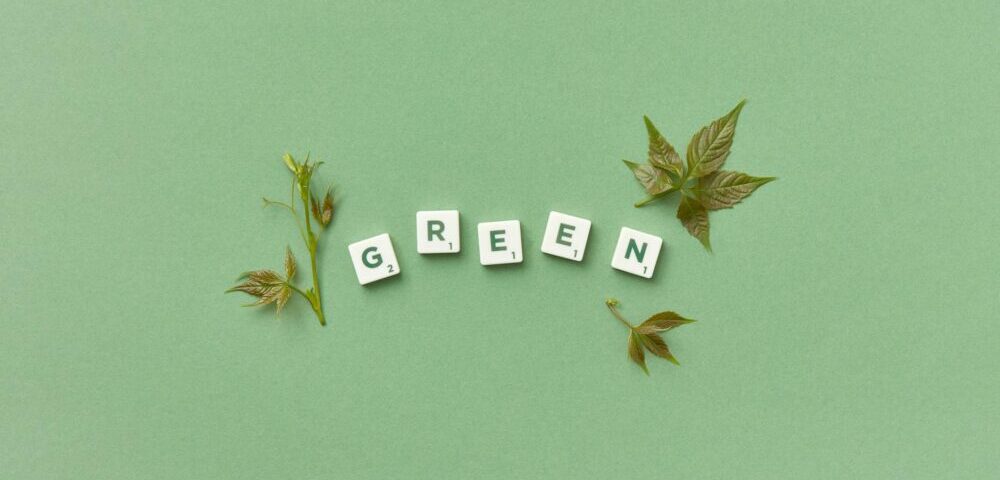 How to design a website with a focus on sustainability in 2026?