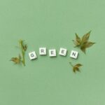 How to design a website with a focus on sustainability in 2026?