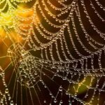 How to design for augmented reality on the web in 2026?