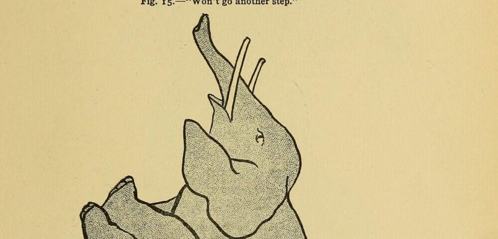 How to do SEO for a Melbourne e-commerce store?