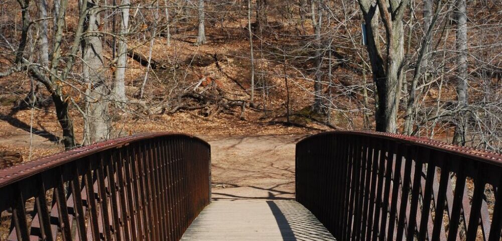 How to do SEO for a Melbourne electrician?