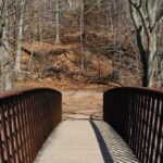 How to do SEO for a Melbourne electrician?