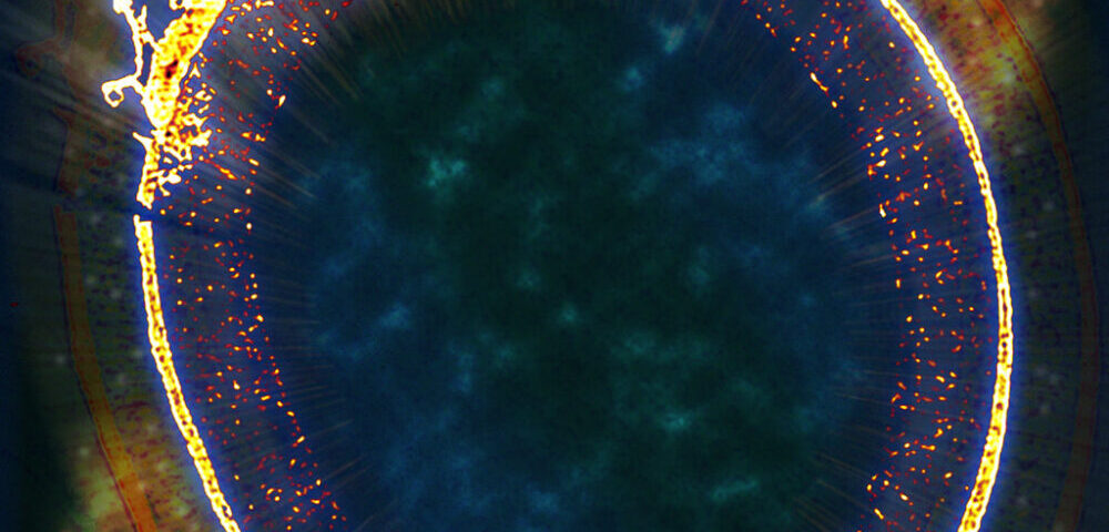 How to do SEO for Australian beauty and skincare brands in 2026?