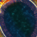 How to do SEO for Australian beauty and skincare brands in 2026?