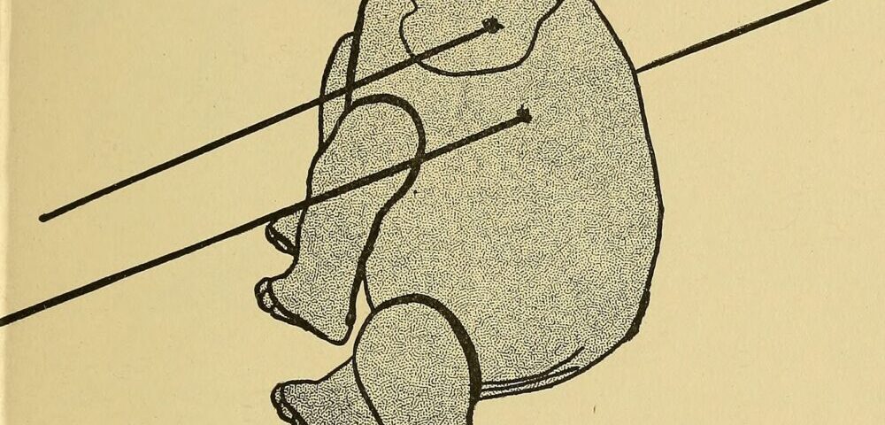 How to do SEO for Australian food and beverage businesses in 2026?