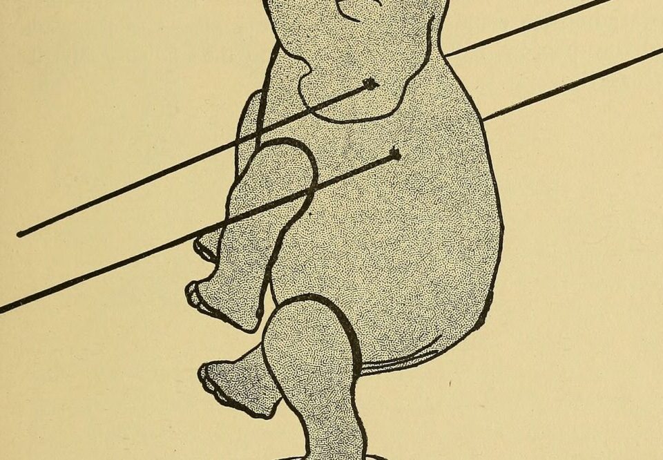 How to do SEO for Australian food and beverage businesses in 2026?