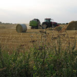 How to do SEO for Australian travel and hospitality businesses in 2026?