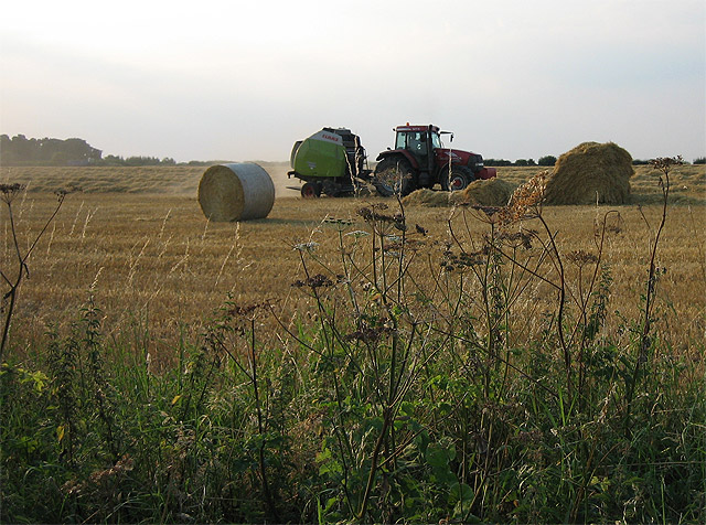 How to do SEO for Australian travel and hospitality businesses in 2026?