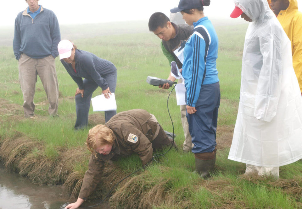 How to measure SEO success for Australian businesses in 2026?