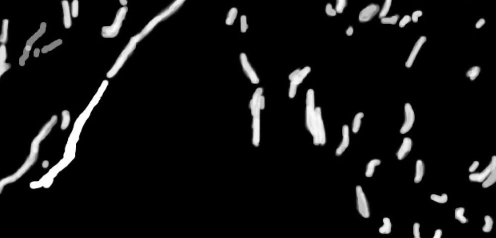 How to optimize Google My Business for Australian local SEO in 2026?