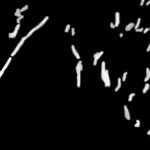 How to optimize Google My Business for Australian local SEO in 2026?