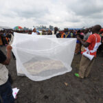 How to use container queries in web design 2026?