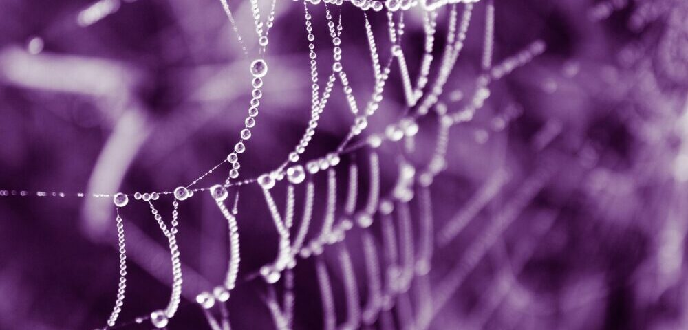 How to use microcopy in web design 2026?