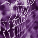 How to use microcopy in web design 2026?