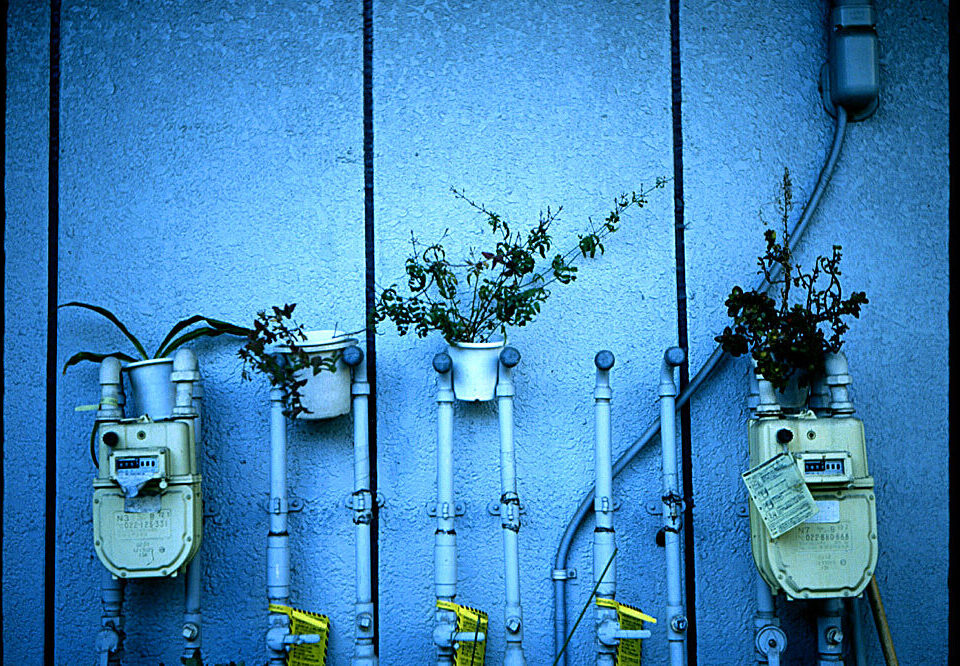 How to use structured data for SEO in Australia 2026?