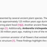 What are the best practices for designing a footer?