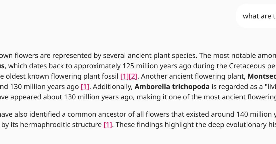 What are the best practices for designing a footer?