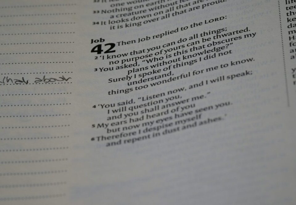 What are the best practices for error page design in 2026?