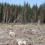 What are the best practices for image optimization in 2026?