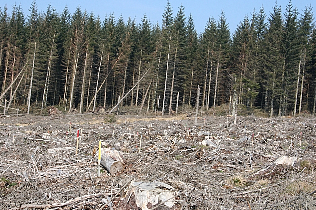 What are the best practices for image optimization in 2026?