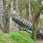 What are the best practices for on-page SEO in Sydney?