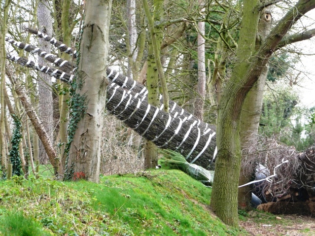 What are the best practices for on-page SEO in Sydney?