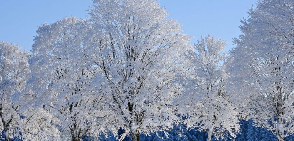 What are the best practices for testimonial design in 2026?