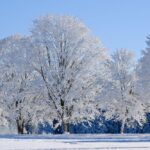 What are the best practices for testimonial design in 2026?