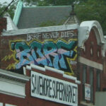 What are the best SEO case studies from Melbourne?