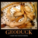 What are the best SEO plugins for WordPress in Sydney?