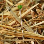 What are the latest trends in card design for 2026?