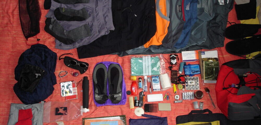 What are the latest trends in search bar design for 2026?