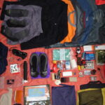 What are the latest trends in search bar design for 2026?