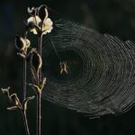 What are the top web design trends for 2026?