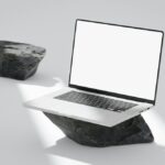 What are the trends in 3D web design for 2026?