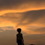 What are the trends in search bar design for 2026?