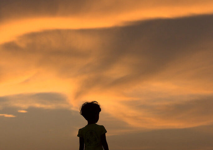 What are the trends in search bar design for 2026?