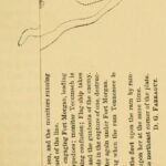 What is mobile-first indexing and how does it impact Melbourne sites?