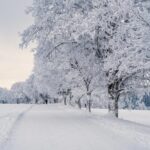 What is the future of single-page websites in 2026?