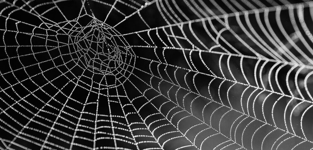 What is the impact of 5G on web design trends 2026?