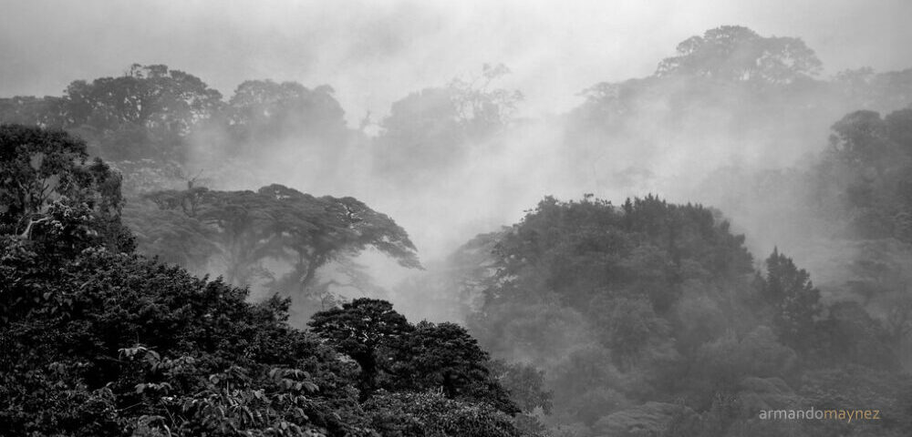 What is the impact of server-side rendering on web design 2026?