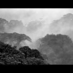 What is the impact of server-side rendering on web design 2026?